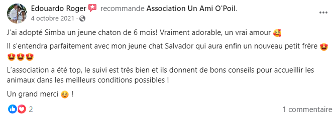 un ami o poil 