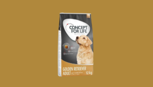 concept for life golden retriever adult pour chien avis