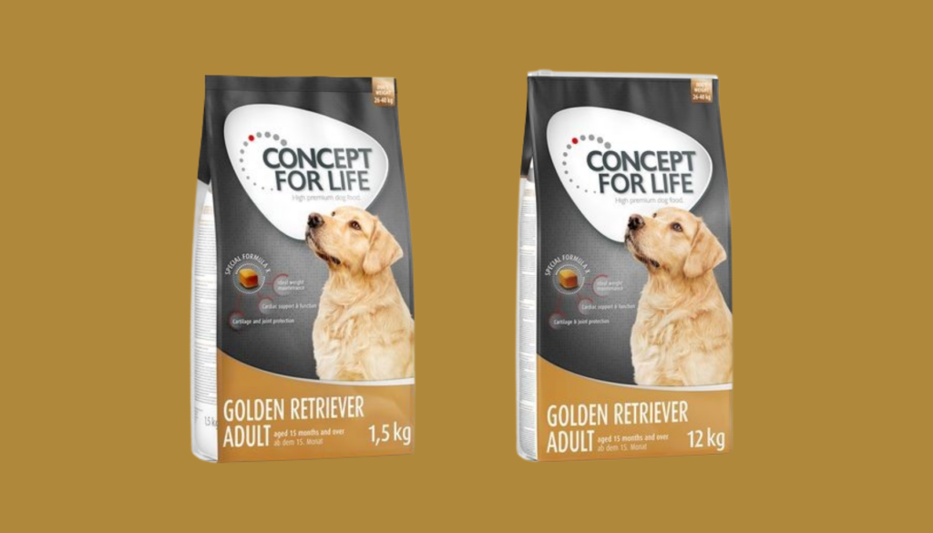 concept for life golden retriever adult pour chien presentation