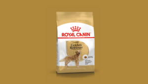royal canin golden retriever adulte 12 kg