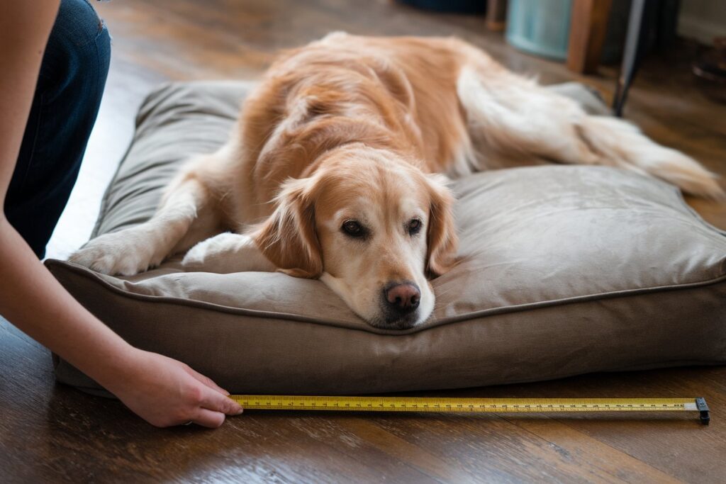 dimensions panier golden retriever