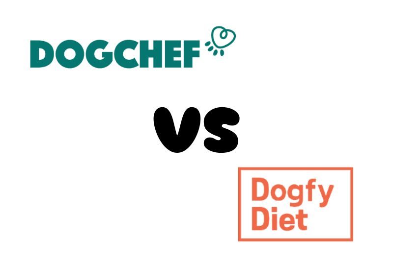 dog chef ou dogfy diet