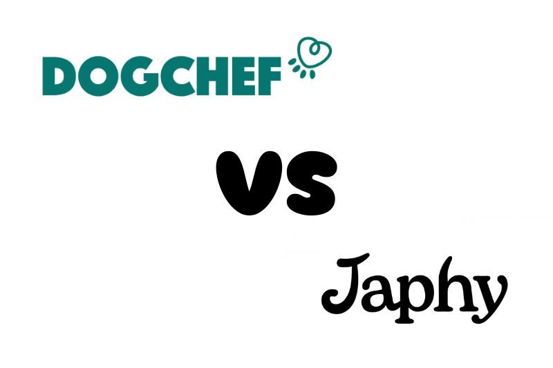 dog chef ou japhy