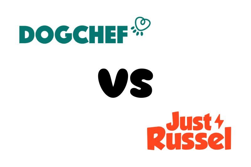 dog chef ou just russel