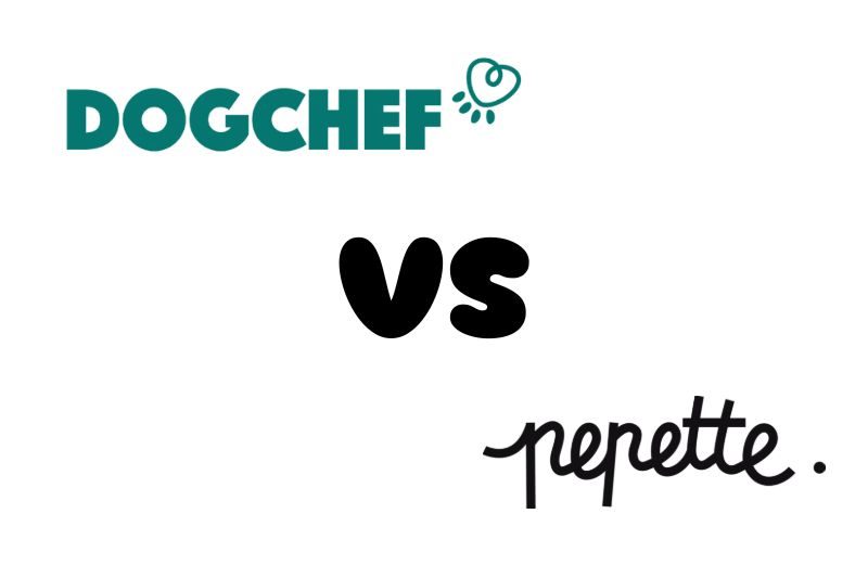 dog chef ou pepette