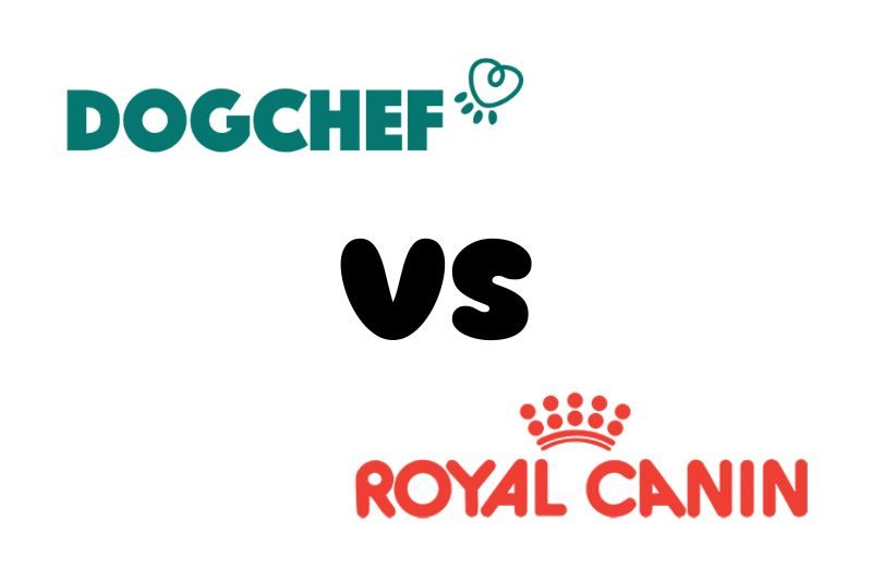 dogchef ou royal canin